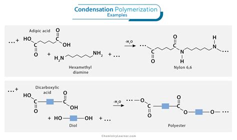 Polymerization: Definition, Types, and Examples