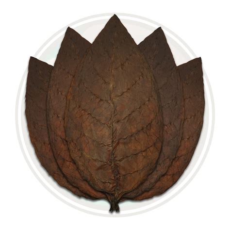 Brazilian Wrapper Whole Leaf Tobacco for RYO Cigars Raw Leaf Tobacco MYO - Cigar Leaf