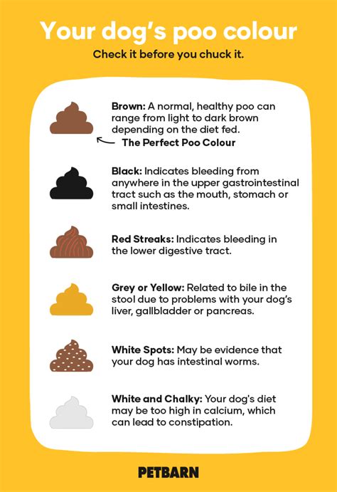 Yellow Poop Color Chart | Images and Photos finder