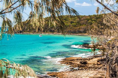 Exploring Noosa National Park | Drink Tea & Travel