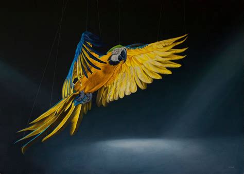 Macaw in flight | Macaw, Macaw parrot, Parrot