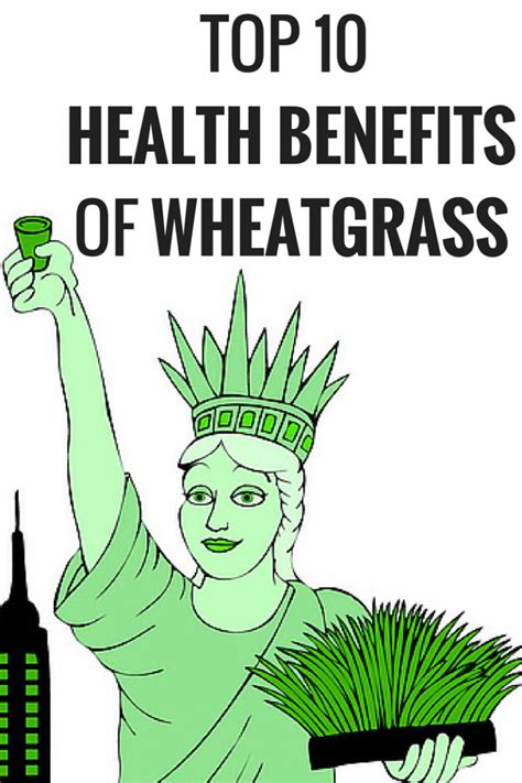 Top 10 Wheatgrass Benefits For Your Health