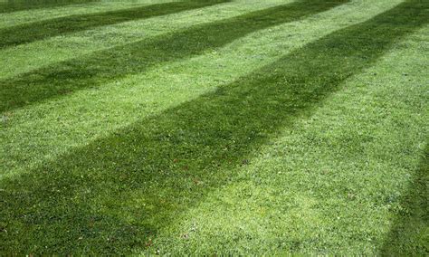 'Best Lawn Stripes' Competitions - Best of Machinery