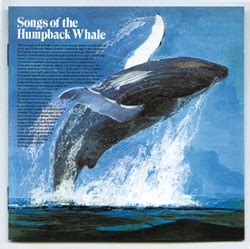 Songs of the Humpback Whale | Frieze