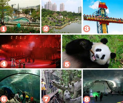 Shenzhen's Real Top 20 Attractions & Things to Do