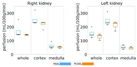 Mean renal perfusion averaged over the whole kidney, the cortex, and ...