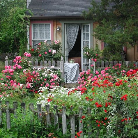 Creating an easy-care cottage garden - Anthony Tesselaar Plants