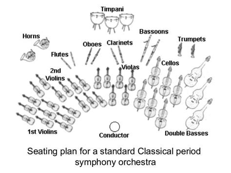 Symphony Orchestra Layout