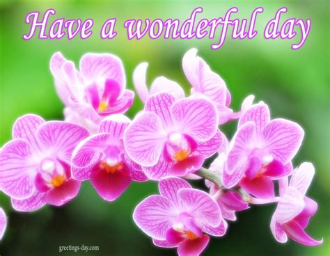 Have A Wonderful Day