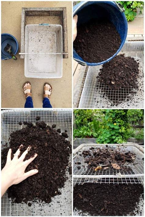 How to Harvest Worm Castings from a Simple Worm Compost Bin | Worm composting, Vermicomposting ...