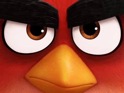 The Angry Birds Movie trailer slingshots angry birds in your face | Hollywood - Hindustan Times