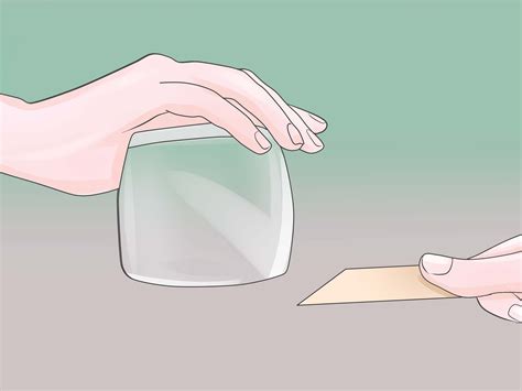 3 Ways to Catch Flies - wikiHow