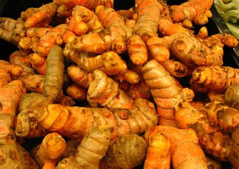 The Indigenous Herb of India: Turmeric (Curcuma longa) |The Healing Herbs of India