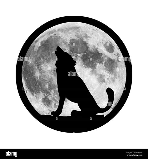 Illustration cartoon wolf howling moon Cut Out Stock Images & Pictures ...