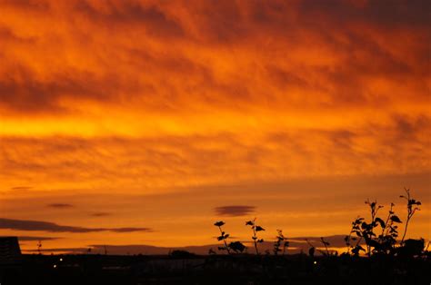 Reighton Beach - Photo "Reighton Sands, Sunset." :: British Beaches