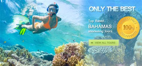 Bahamas Snorkeling Tours | Freeport Snorkeling | Nassau Snorkeling