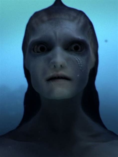 Are Mermaids Real? 'Mermaids: The New Evidence' Sparks Age-Old Question With New Footage [VIDEO ...