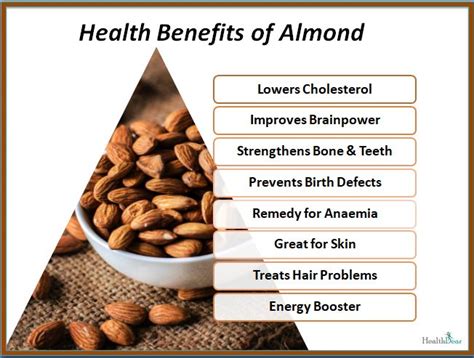 Health Benefits of Almond — Steemit | Health benefits of almonds, Almond benefits, Benefits of ...