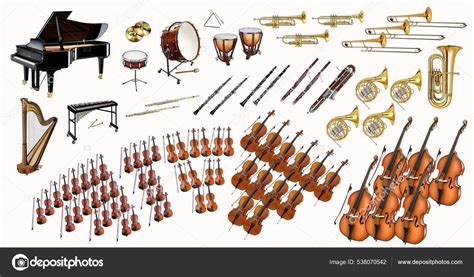 Symphony Orchestra Diagram Arrangement Musical Instruments Isolated ...