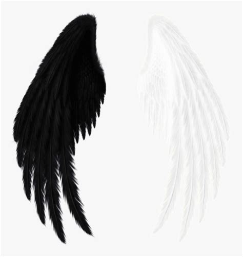 #wings #black #white #black And White - Red Angel Wings Png, Transparent Png , Transparent Png ...