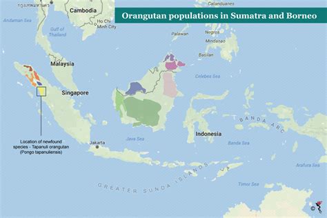 Orangutan Habitat Map