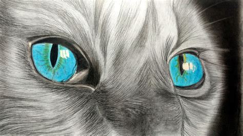 How To Draw Realistic Cat Eyes, How To Draw Realistic Cat Fur For BEGINNERS | Realistic drawings ...