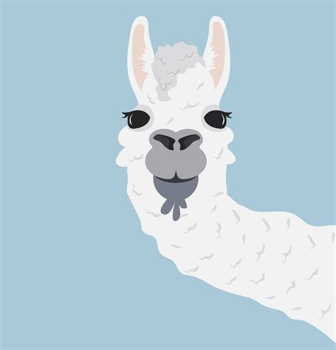 Happy head llama Vector Illustration 621177 Vector Art at Vecteezy