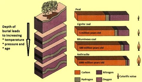 Anthracite Coal – IspatGuru