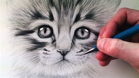 How To Draw A Kitten Cat Face Drawing Pencil Drawing Tutorials Easy ...