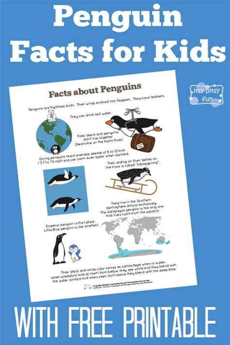 Penguin Facts for Kids - Itsy Bitsy Fun