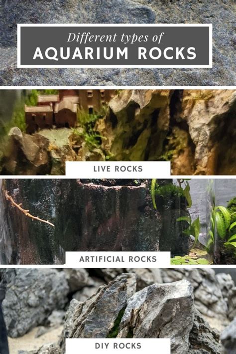 Aquarium Rocks: The Most Definitive Guide | Bantam.Earth