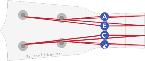 Ukulele String Notes, Names & Numbers: What You Need Know