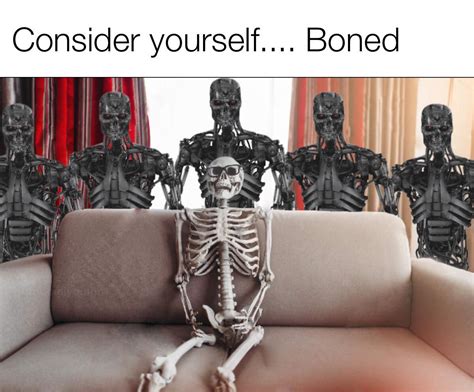 Bones Original Meme Youtube - Bank2home.com