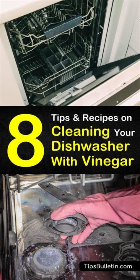 8 Simple Solutions for Cleaning Your Dishwasher with Vinegar