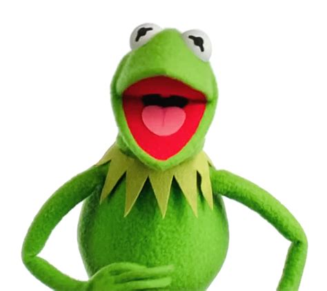 Kermit the Frog Through the Years - Muppet Wiki