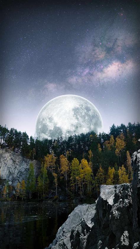 Big Moon Forest IPhone Wallpaper - IPhone Wallpapers : iPhone Wallpapers | Iphone wallpaper, Hd ...