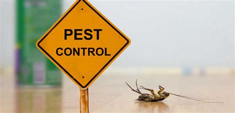 Commercial Pest Control | DC, MD & VA | CroppMetcalfe