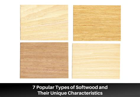 7 Popular Types of Softwood and Their Unique Characteristics