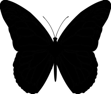 Free Butterfly Silhouette Png Download Free Butterfly Silhouette Png | Porn Sex Picture