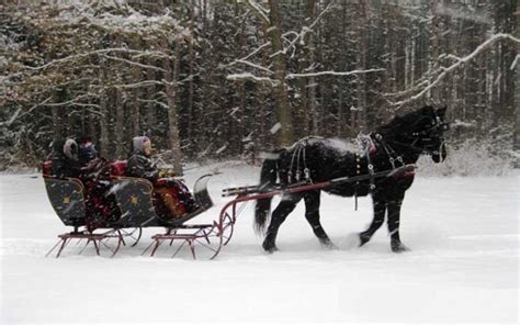 Lake Michigan Winter Area Attractions - Sleigh Rides - Saugatuck, MI ...