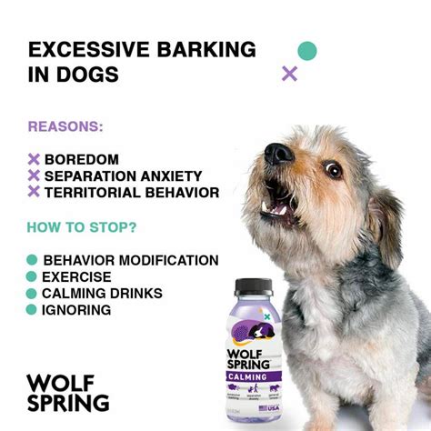 Excessive barking: causes & how to stop it? | Wolf Spring