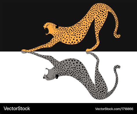 Cheetah Royalty Free Vector Image - VectorStock