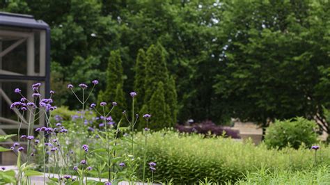 Habitat of Flight (Off Display) - Smithsonian Gardens