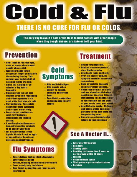 Chadron High School Blog: Cold & Flu Prevention