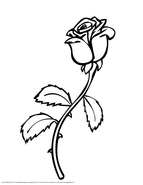 Rose color clipart 20 free Cliparts | Download images on Clipground 2024