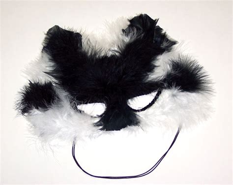 Feather Cat Mask Free Stock Photo - Public Domain Pictures