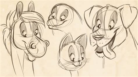 How To Draw Cartoon Animals