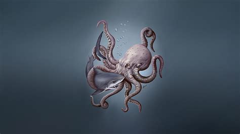 HD wallpaper: Animal, Octopus | Wallpaper Flare