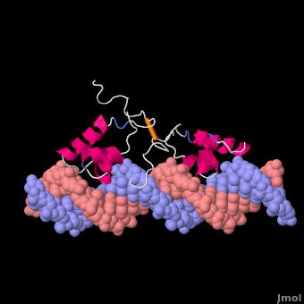 Lac repressor - Proteopedia, life in 3D