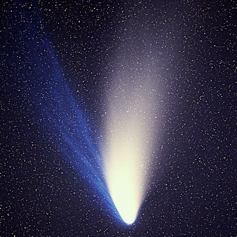 File:Comet Hale-Bopp 1995O1.jpg - Wikipedia, the free encyclopedia